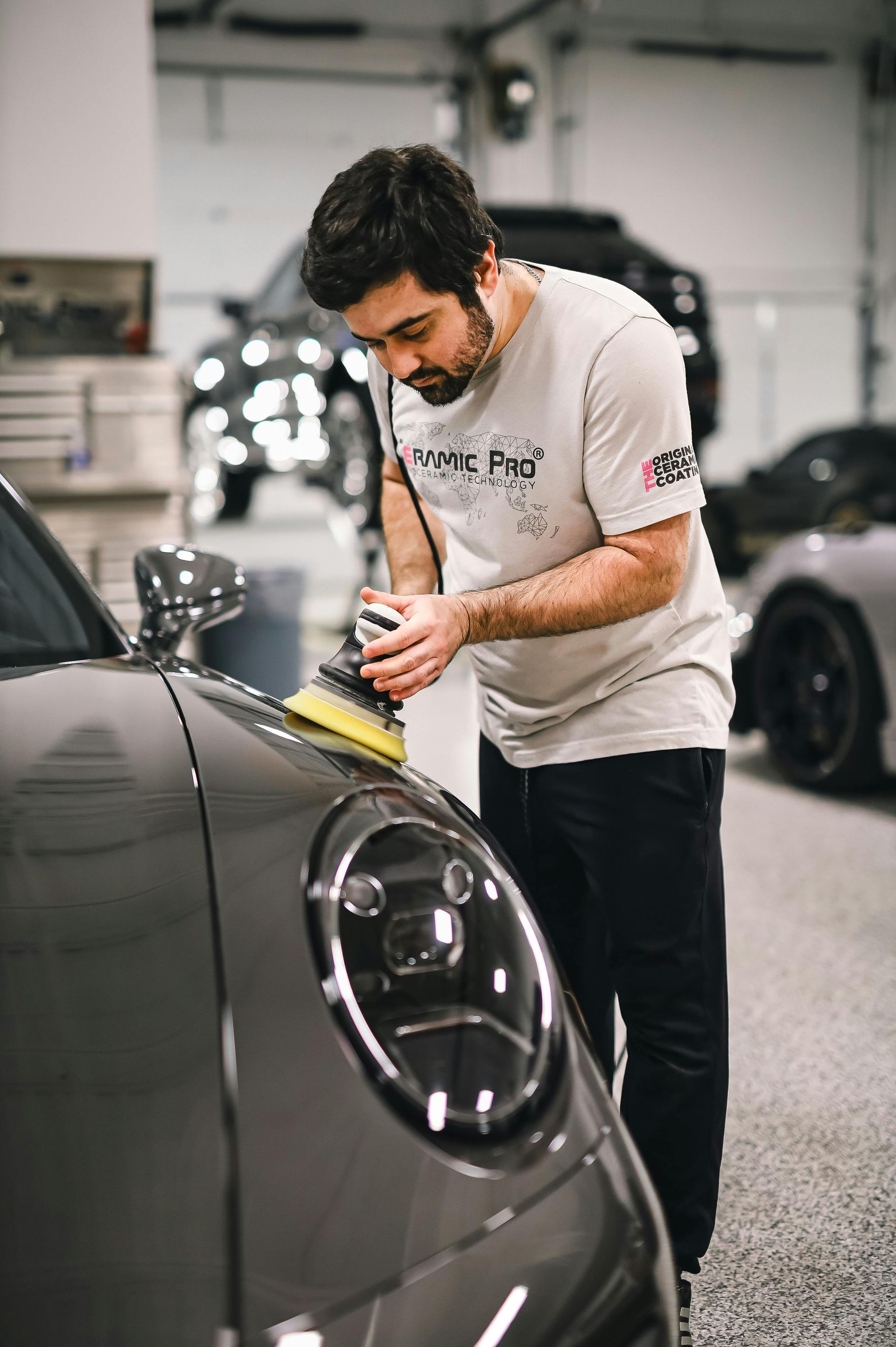 Professional Paint Correction